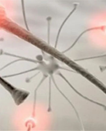 Ψαλτάκη Μαριαγγελική - Νευρολόγος